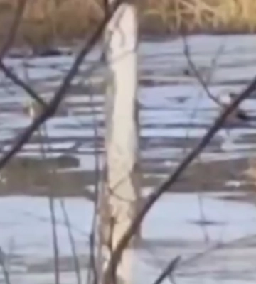 У луцькому парку під лід провалився підліток (відео)