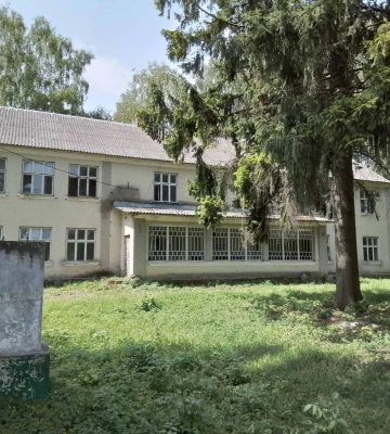 Школу в селі на Волині продають з молотка за 1,9 млн. Фото