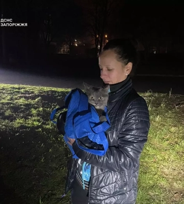 У Запоріжжі рятувальники зняли з високого дерева переляканого пухнастика. ФОТО