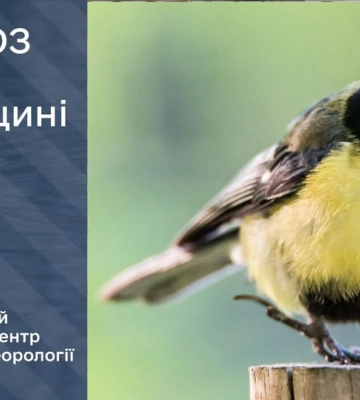 Протягом тижня в Україні очікується аномально тепла погода