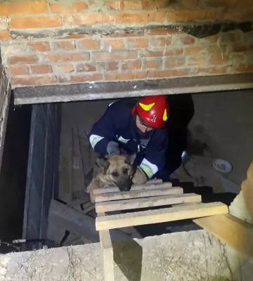 На Вінниччині бійці ДСНС врятували пса, який впав у підпал недобудови