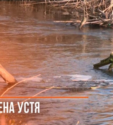 У Рівному перевіряють ймовірне забруднення річки Устя: відомі перші результати (ВІДЕО)