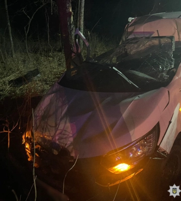 На Харківщині автомобіль вилетів із траси та врізався у дерево: водій загинув