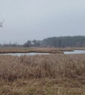 У Сумському районі водолази знайшли тіло загиблого чоловіка у плавнях