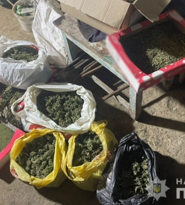 Трьох жителів Болградського району притягують до відповідальності за вирощування, виготовлення та вживання наркотичних засобів