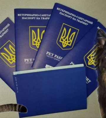 Як в Дніпрі зробити ветпаспорт для кота чи собаки