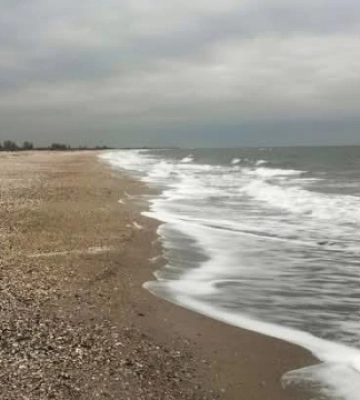 На узбережжі Одещини виявили нові забруднення мазутом
