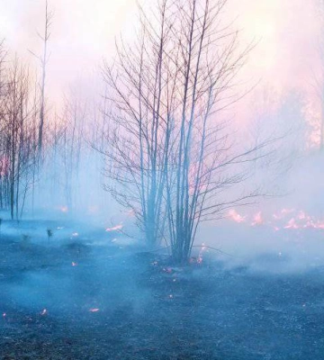 У нацпарку на Волині більше доби горіла суха трава