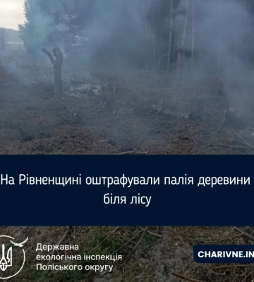На Рівненщині оштрафували палія деревини біля лісу