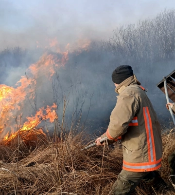 У нацпарку на Волині більше доби горіла суха трава