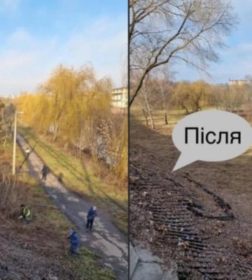 Зрізають дерева та розчищають чагарники: у Рівному впорядковують територію Гідропарку