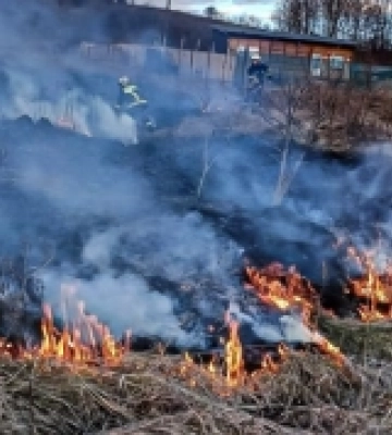 На Львівщині зафіксували 18 пожеж сухої трави