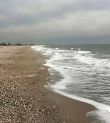 Досі немає чіткого плану дій: на Одещині знайшли нові ділянки берега з мазутом із російських танкерів