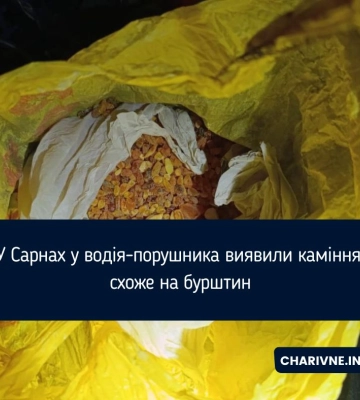 У Сарнах у водія-порушника виявили каміння, схоже на бурштин