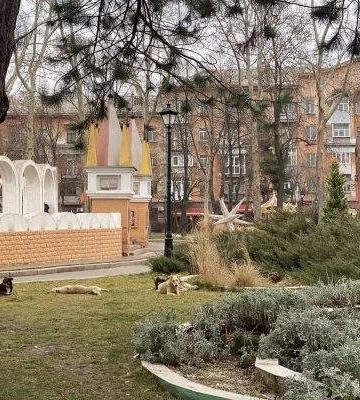 У Миколаєві зграя собак загрожує перехожим біля «Казки»