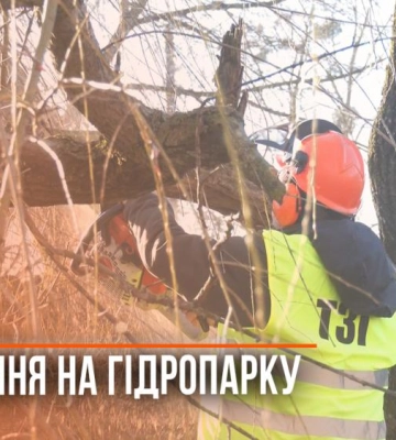Обрізають аварійні дерева та чагарники: у Рівному комунальники приводять до ладу Гідропарк (ВІДЕО)