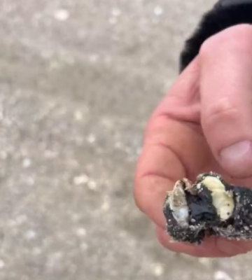 На Одещині почали прибирати мазут на узбережжі, відео