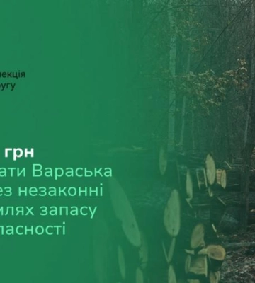 Вараська міська рада заплатить за незаконну вирубку дерев майже 14 млн грн