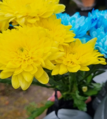 Загинув на Курщині: у Луцьку попрощалися з Героєм Дмитром Матвіюком