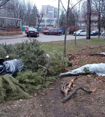 Гора ялинок після свят: у Дніпрі мешканці скаржаться на стихійне звалище