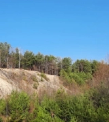 Розробку родовища піску на території «Старовижівського Буковелю», що на Волині, визнали незаконною
