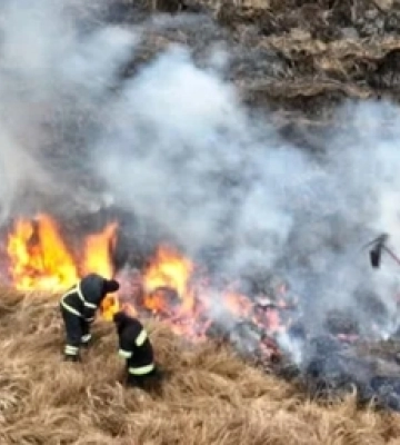 Рахують збитки: у нацпарку на Волині розповіли про наслідки пожежі