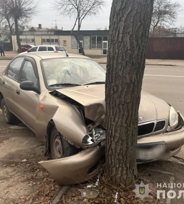 У Житомирі жорсткий контакт легковика з деревом відправив до лікарні двох людей. ФОТО