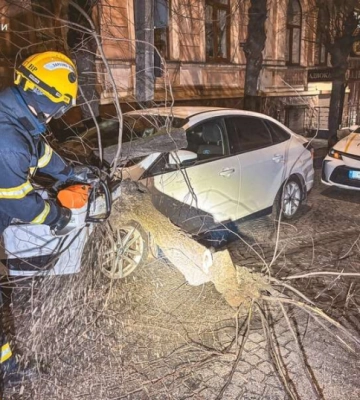 Рятувальники прибрали дерево, яке впало на авто на вулиці Шевченка в Чернівцях