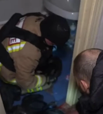 Більше доби ховався під ванною: у Сумах після ракетного удару врятували кота
