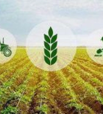 З початку 2025 року 244 агрогосподарства отримали 724,6 мільйона гривень за програмою «Доступні кредити 5-7-9»