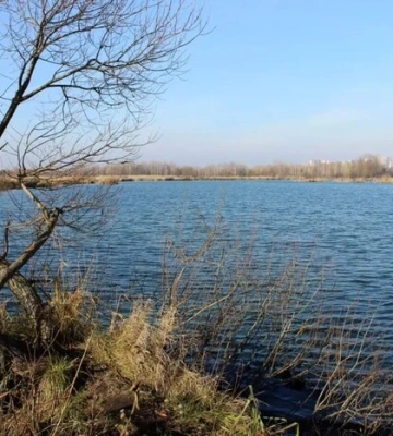 Компанія-забудовник та влада Києва йдуть до суду через екопарк «Осокорківські луки» Компанія-забудовник та влада Києва йдуть до суду через екопарк «Осокорківські луки»