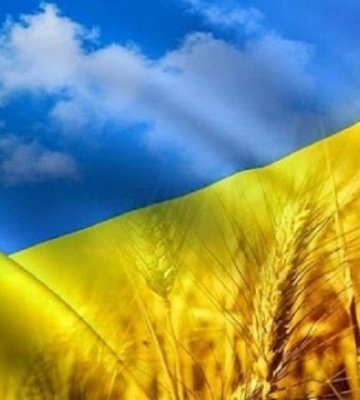 Історія успіху: як ветеран-переселенець збудував успішний бізнес на Вінниччині