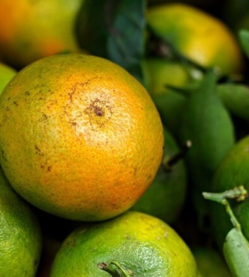 Де цими вихідними у Києві пройдуть продуктові ярмарки