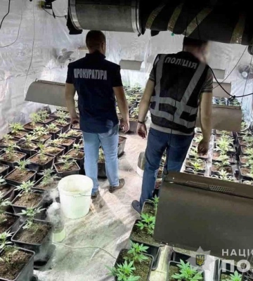 Збували канабіс на ₴2 млн. щомісяця: на Львівщині судитимуть членів злочинної організації