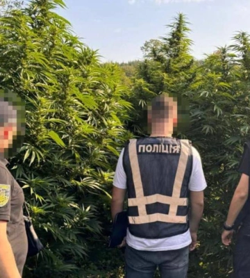 У Львові судитимуть учасників злочинної організації, яка заробляла 2 млн грн на місяць на вирощуванні канабісу