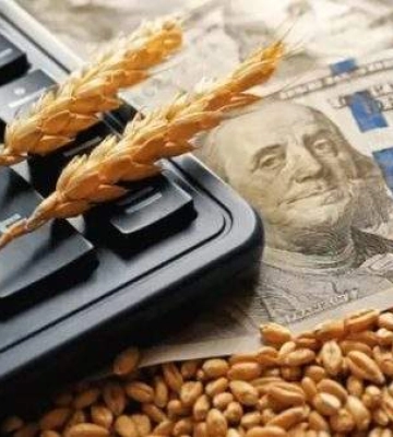 Миколаївський суд відмовив в арешті підозрюваної у махінаціях з податками
