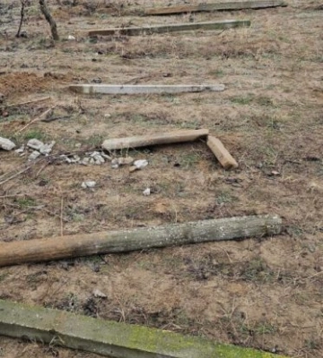 На півдні Одещини інвестор реконструює сорокарічні виноградники