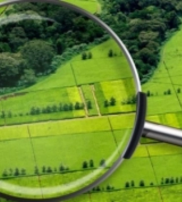 На Волині виставили на продаж земельні ділянки
