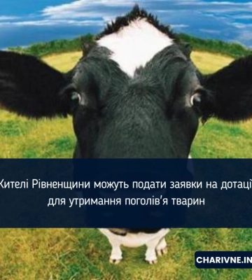 Бюджетні дотації для фермерів: підтримка утримання корів, кіз і овець на Рівненщині