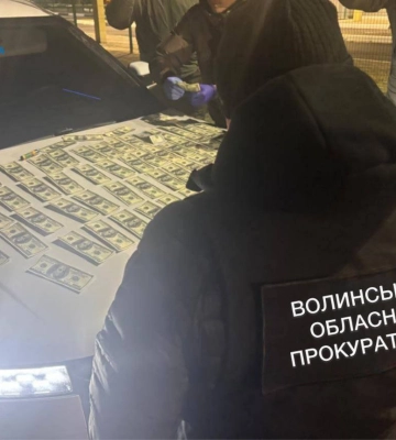 Директорка луцької ГО уникла покарання за допомогу в переправленні 120 ухилянтів за кордон