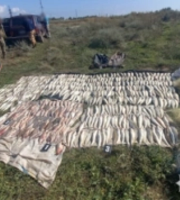 Завдав збитків на більш ніж 600 000 гривень: на Одещині посадовець комунального підприємства розтратив бюджетні кошти