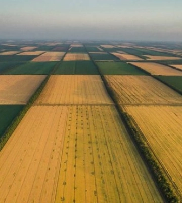 На Сумщині викрито підприємця, який шахрайським шляхом заволодів 50 га землі