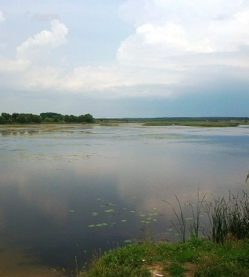 На Глухівщині на водоймі загинула пенсіонерка