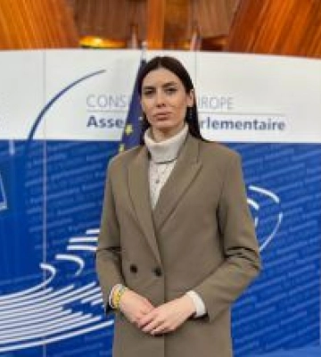 Нові посади, на які призначені українські парламентарі у ПАРЄ