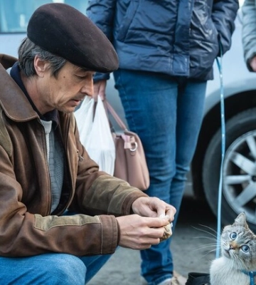 В Днепропетровской области продолжается добровольная эвакуация жителей прифронтовых общин: есть ли помощь