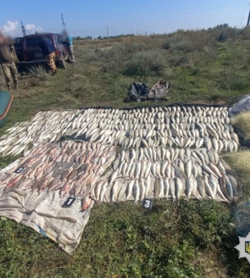 На Одещині браконьєри завдали державі величезних збитків