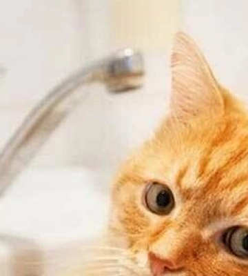 У Дніпрі масштабне відключення води: де пошкоджено магістральний водопровід