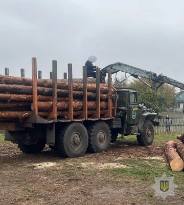 У громаді на Волині пояснили, чому довелось видалити понад 100 дерев