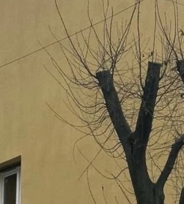 У Львові відновили ще один будинок, який постраждав від російської ракети восени