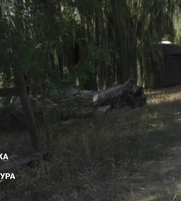 Беседки на берегу реки в Харькове сдавали незаконно: кому же платили горожане